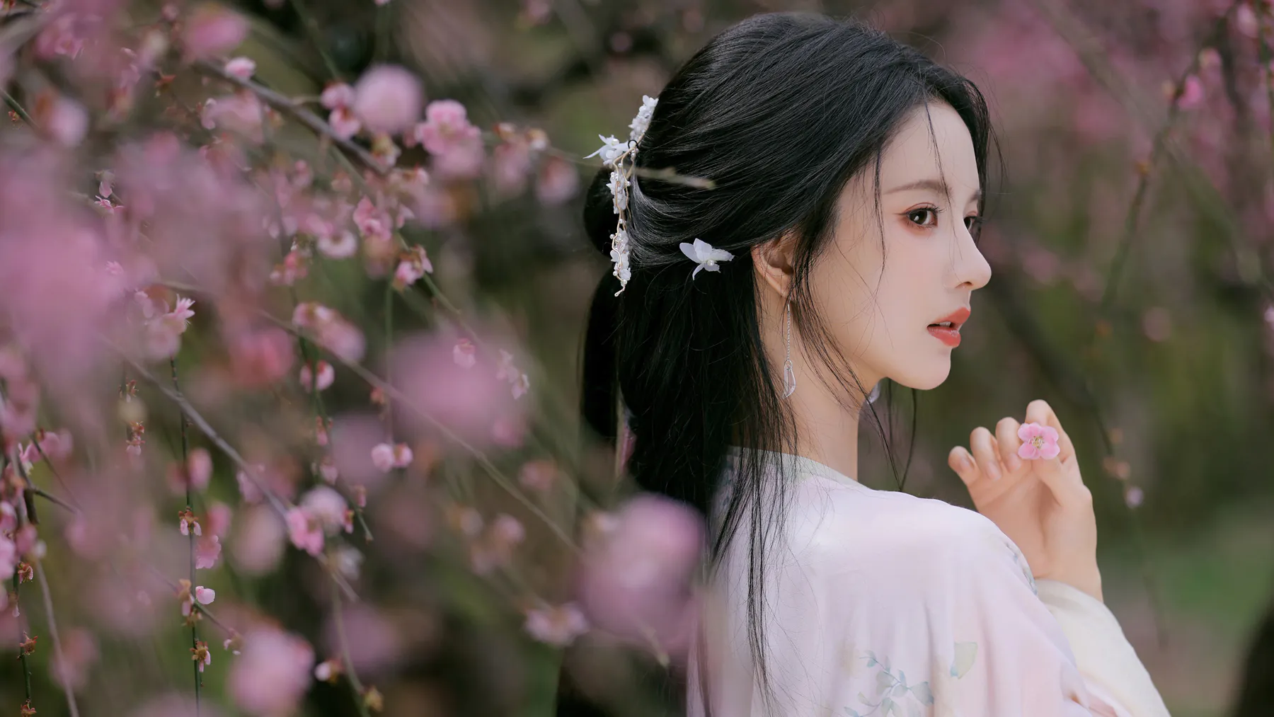 Liu Xiening in Hanfu with Cherry Blossoms Portrait Wallpaper