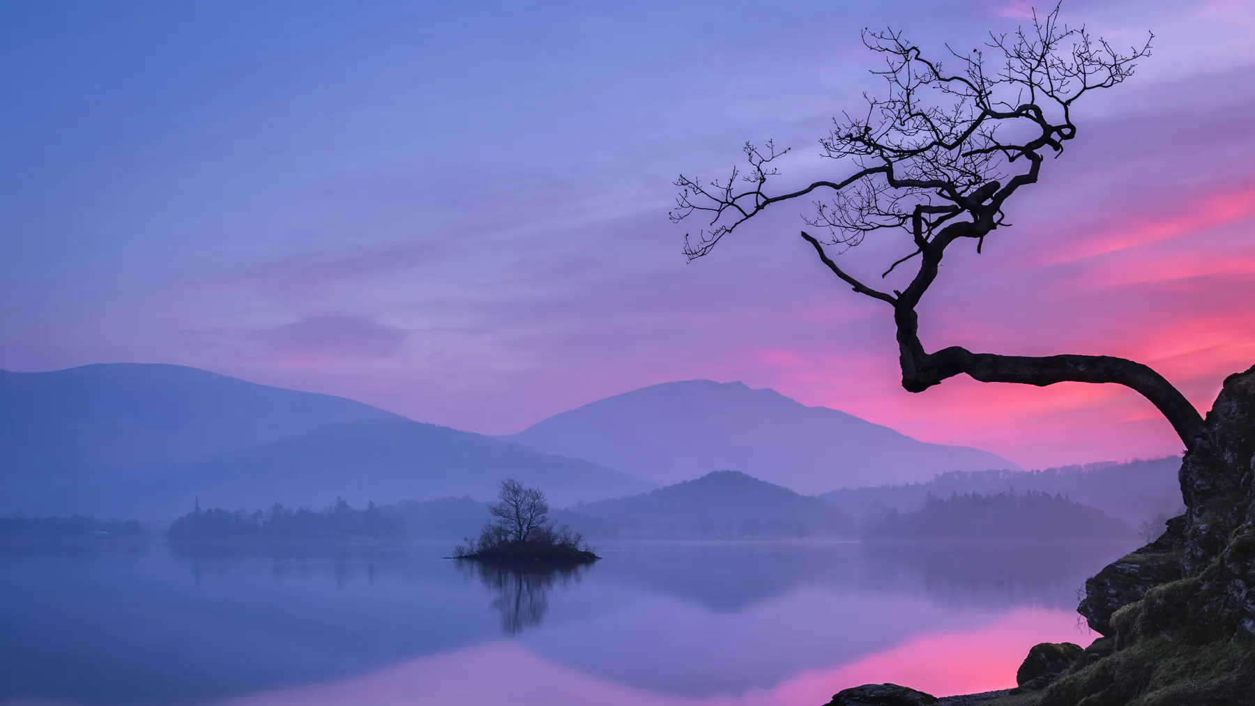 Pastel Early Morning Calm Lake Scene with Soft Pink and Purple Sky