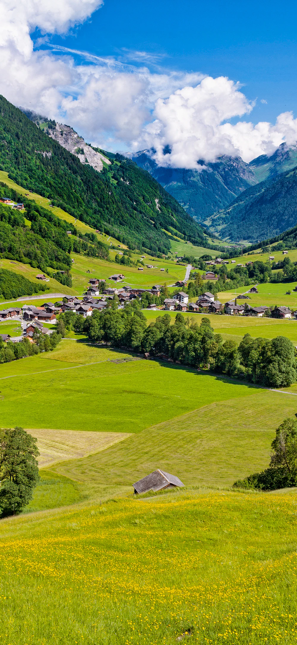 Peaceful Countryside Valley with Mountains and Wildflowers