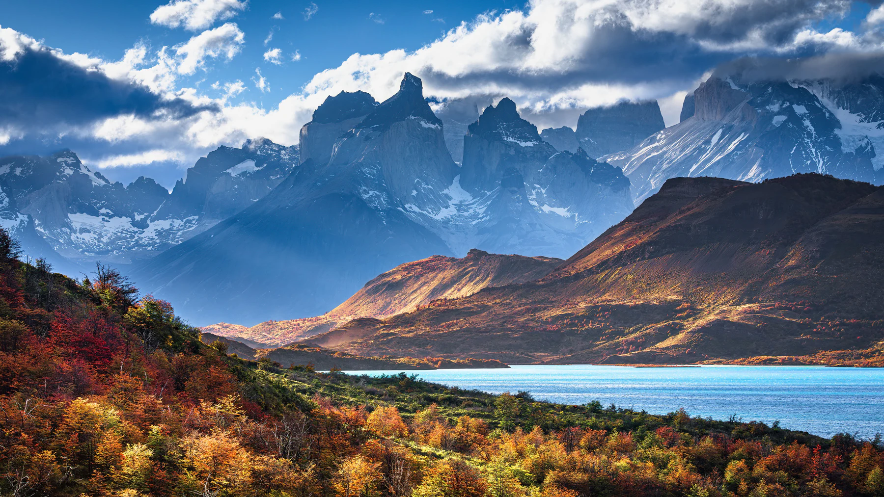 Stunning Vibrant Autumn Scenery with Mountain and Trees