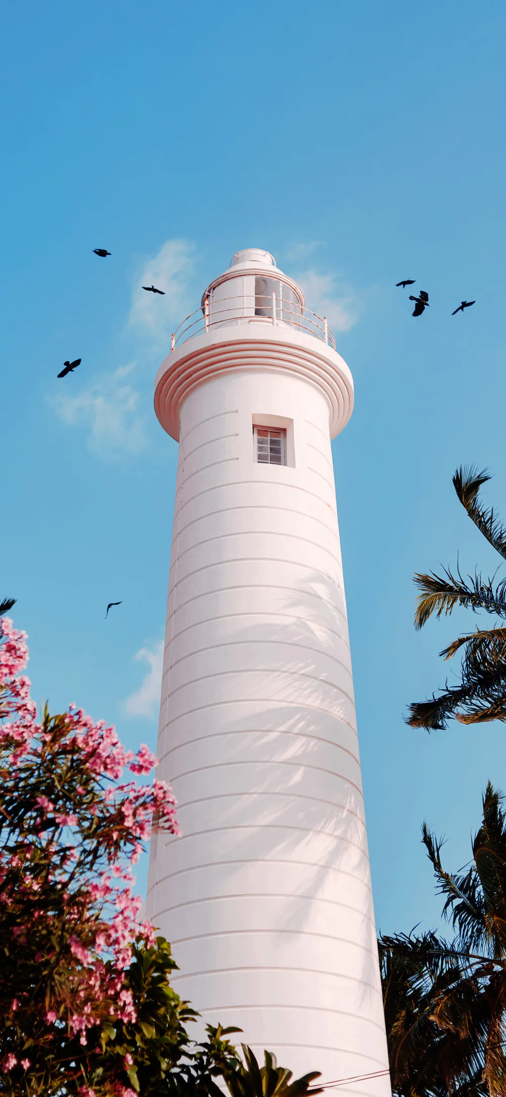White Lighthouse Under Clear Blue Sky with Tropical Flowers