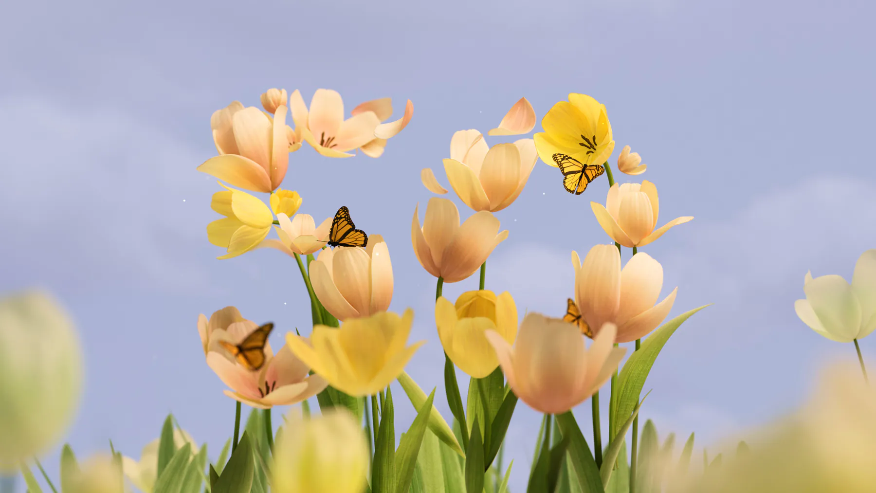 Yellow Spring Tulip Bloom with Butterflies Warm Daylight Wallpaper